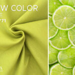 LIME COLOR
