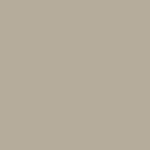 Safari 151306