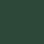 Petrol 40715